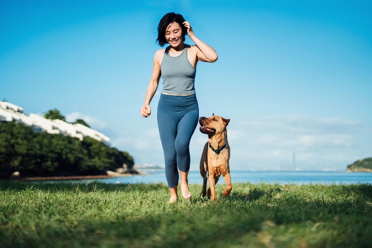 ADM looks to extend its footprint in Chinese pet food market 