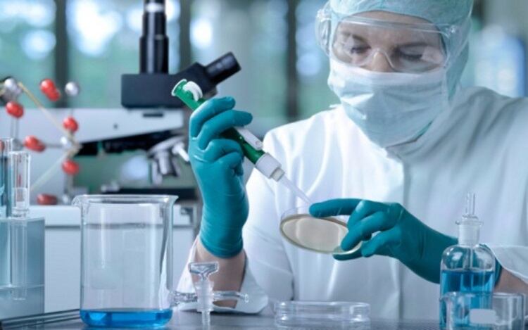 Irish food authorities develop DNA scanning tool