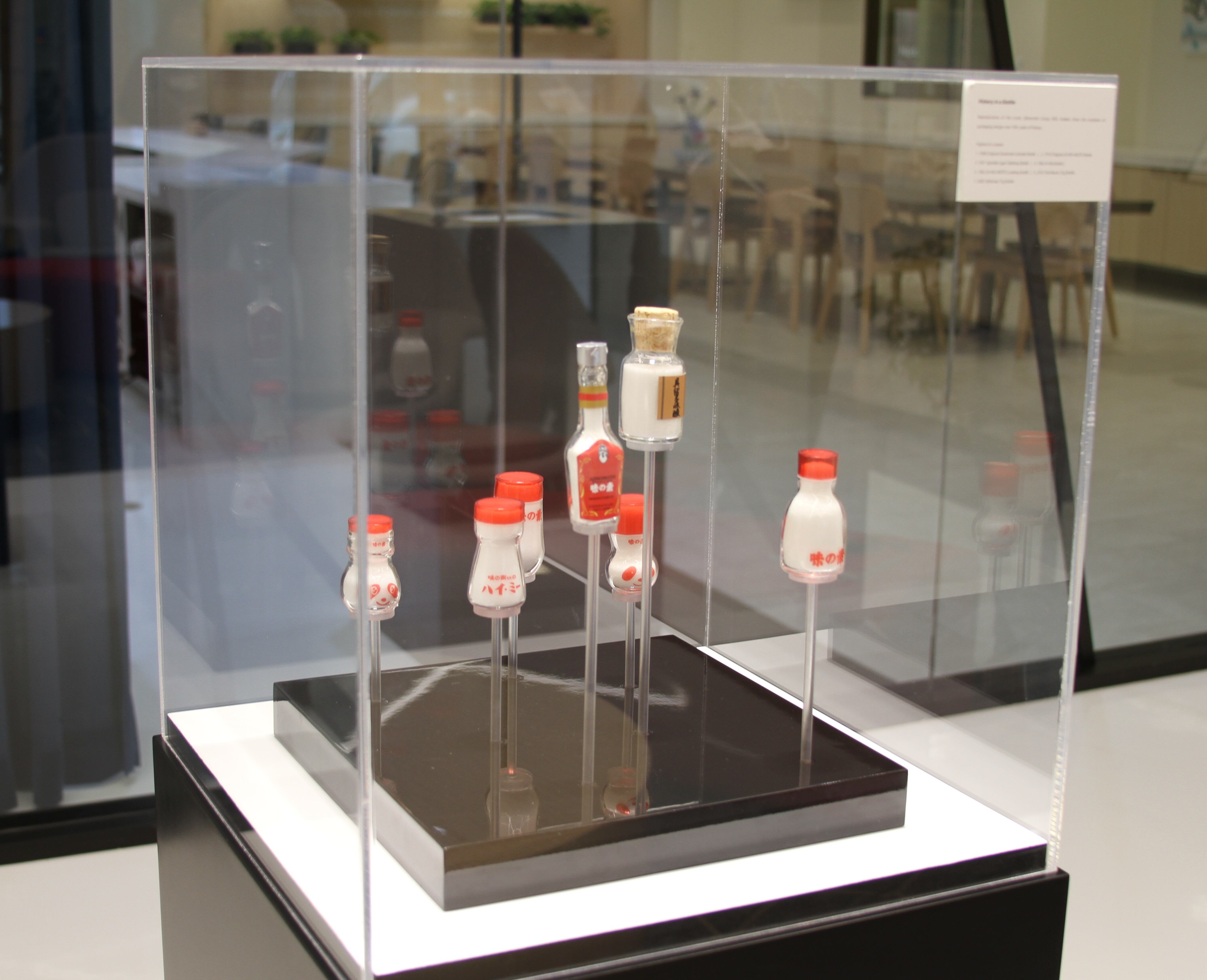 The Ajinomoto Group's history spans over hundred of year of ingredient innovation and expertise.