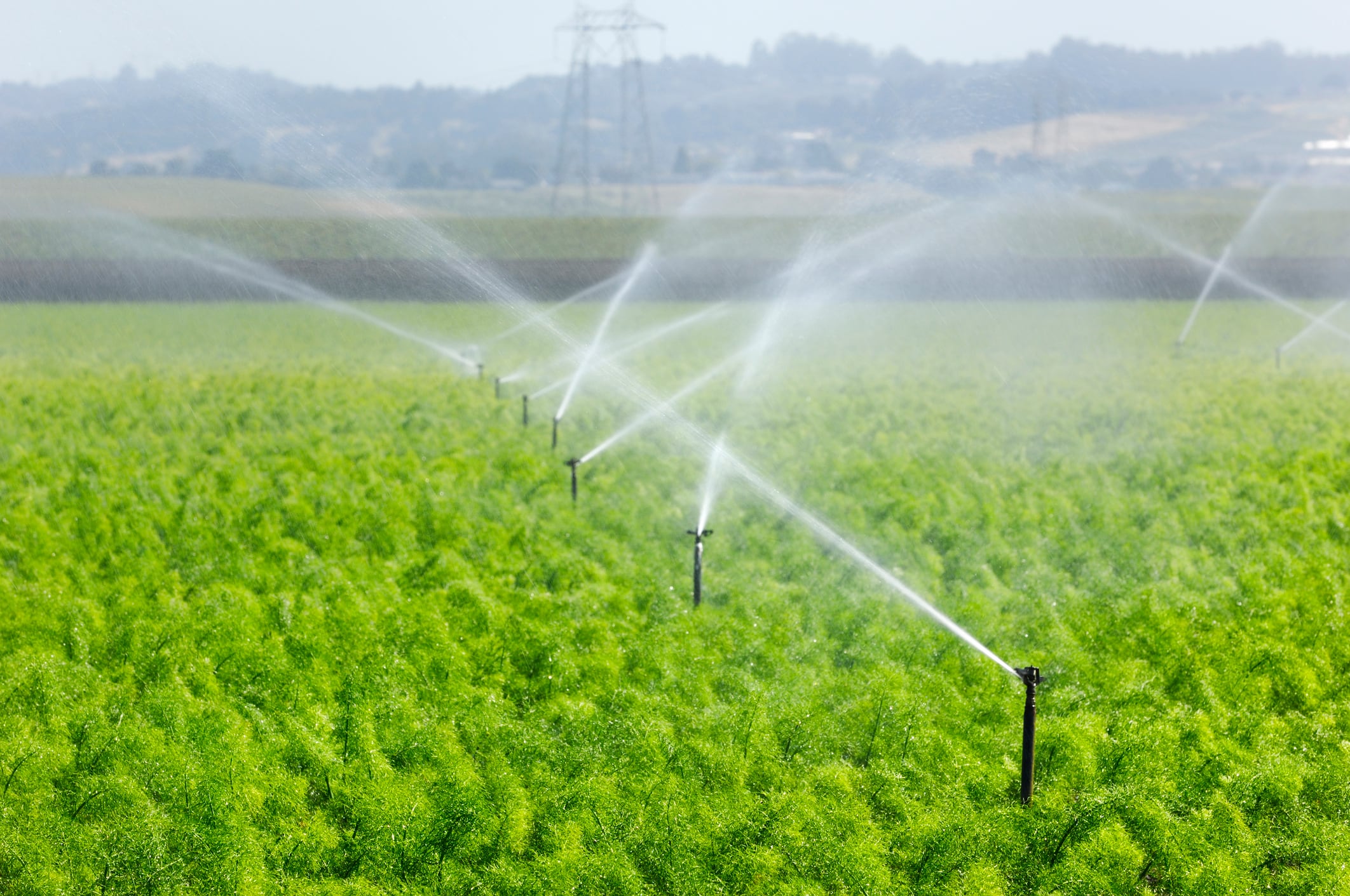 Crops being watered