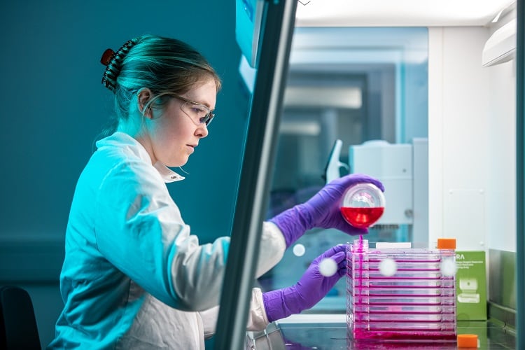‘We’re prioritising innovation over profit’: Cheaper, licence-free cell banks now available for cultivated meat research