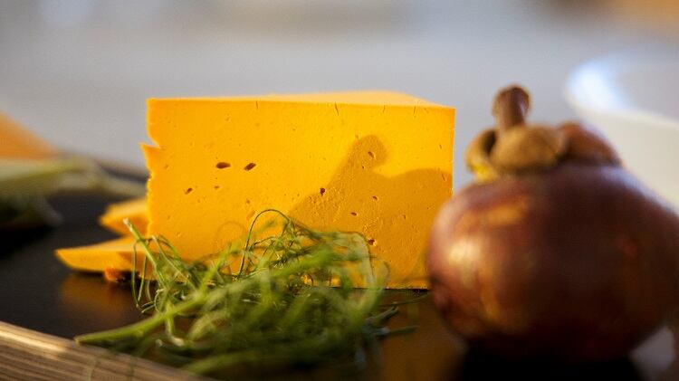 Solein_03_Foods_07-_Dairy-Cheese-Alt_02_B.jpg