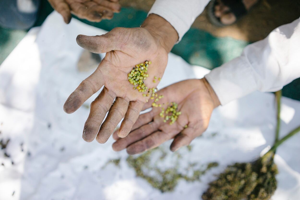'Mission-driven partners': JUST and Brinc join forces to fund sustainable food ventures for China