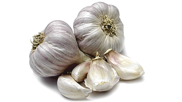 Garlic.jpg