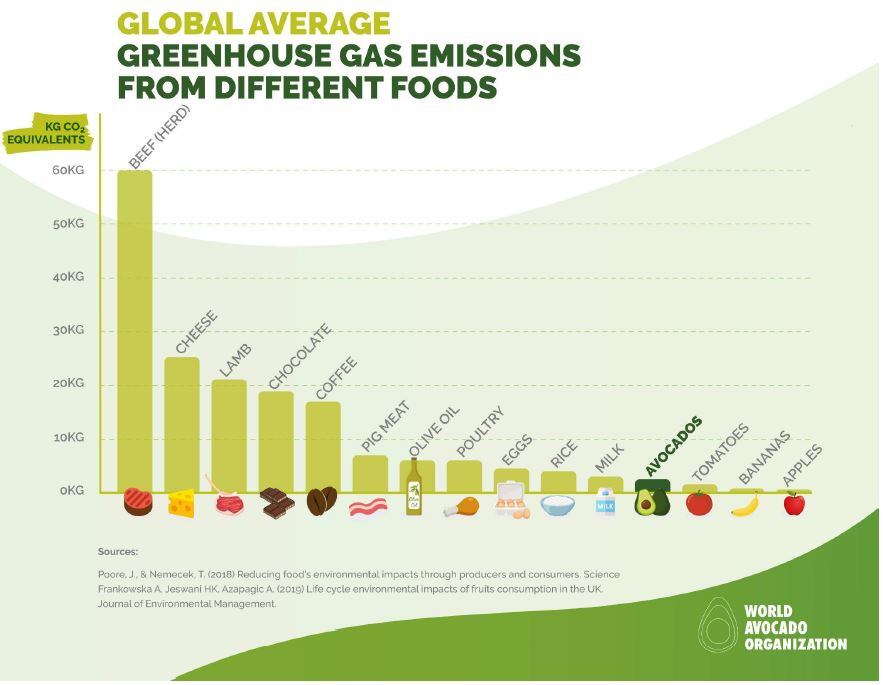 Global-average-GGE-from-different-foods.jpg