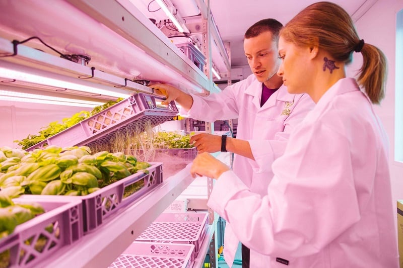 ‘There are so many different potential applications’: Indoor farming specialist pioneers ultrasonic technology to grow plants with sound