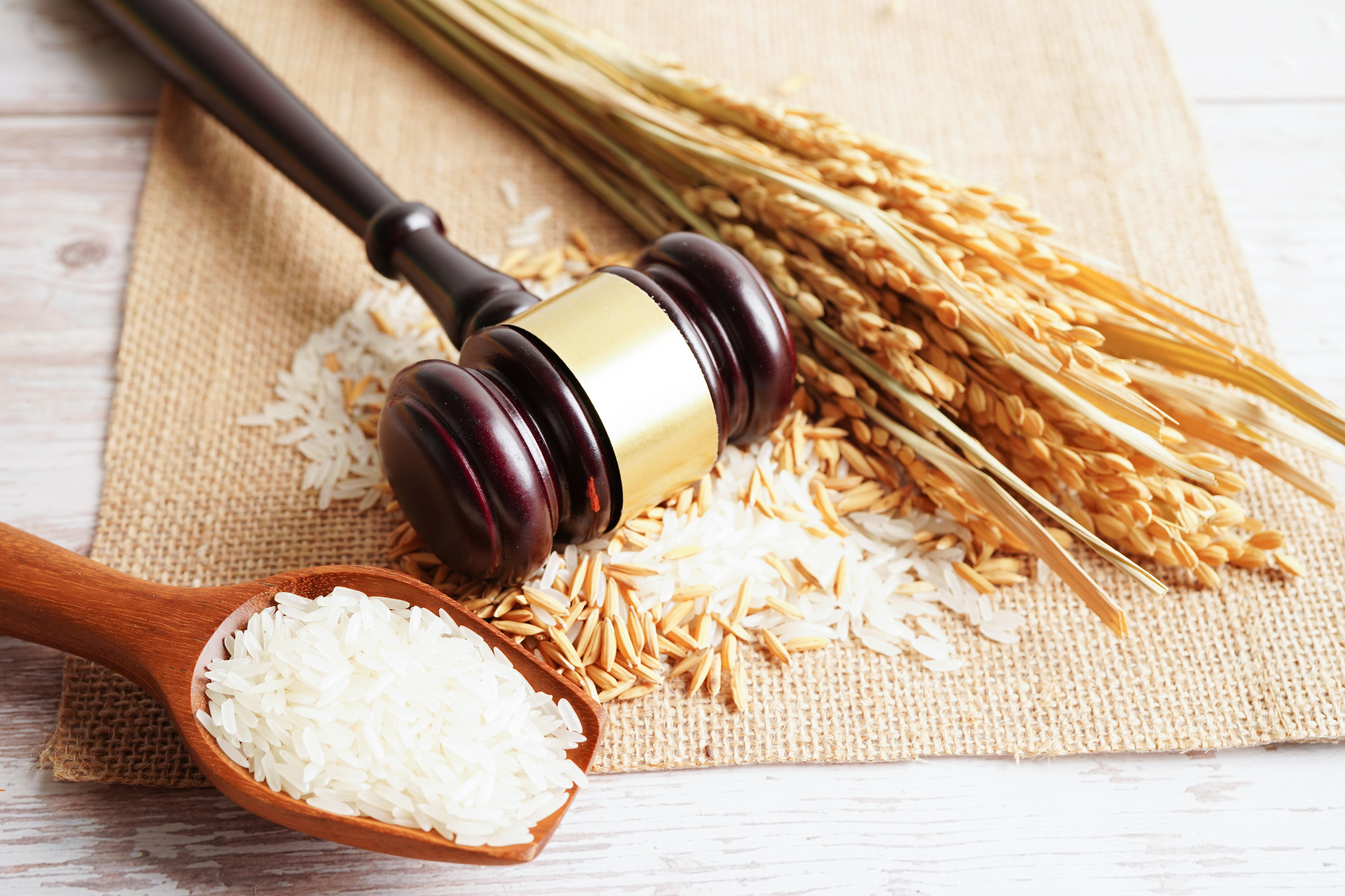 Most GMO foods have avoided labels – a court just changed that