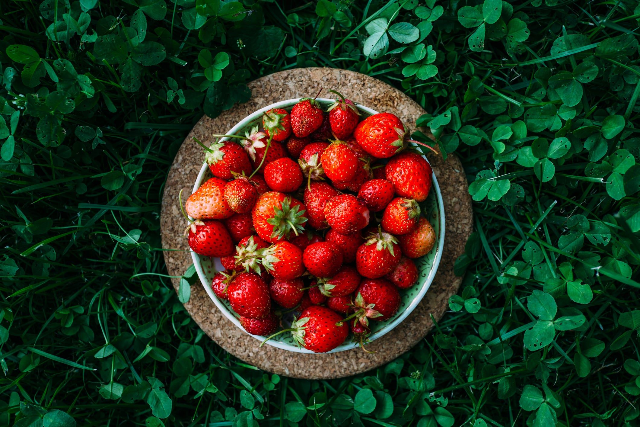 PROMOTIONAL FEATURE USE ONLY strawberries