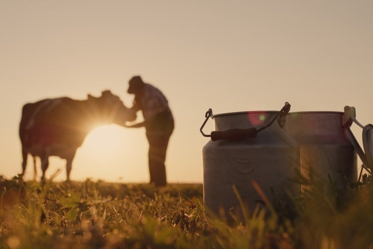 US: ‘Dairy cliff’ avoided after last-minute Farm Bill extensions agreed