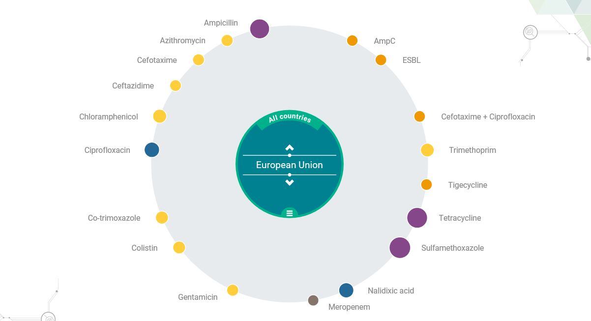 ‘We are entering a world where infections are difficult or impossible to treat’: AMR and the food chain