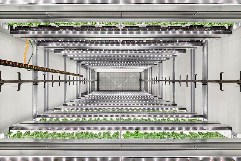 Indoor farmer unveils latest high-yield concept