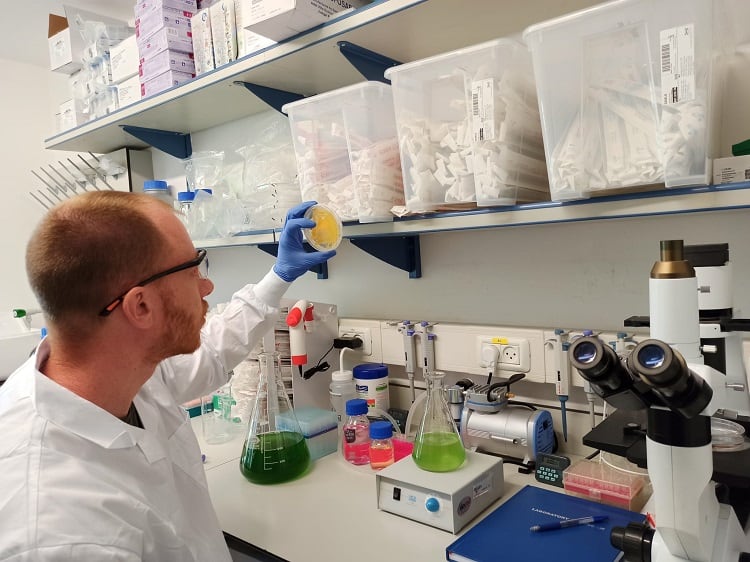 Typical_day_in_the_lab-1-mermade-2.jpg