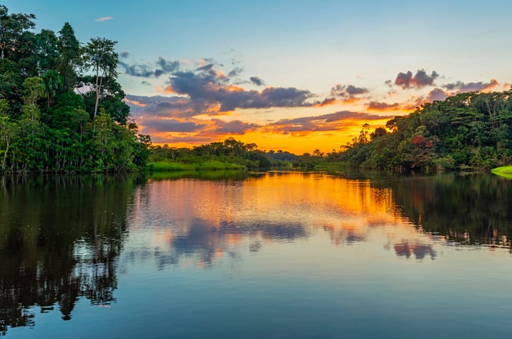 Virtual-herbariums-could-help-bring-transparency-to-issue-of-conservation-of-Brazilian-botanical-resources.jpg
