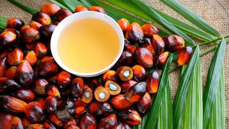 ‘Matchless versatility’: Why palm oil’s widespread prevalence in Asian food industry makes it irreplaceable for now