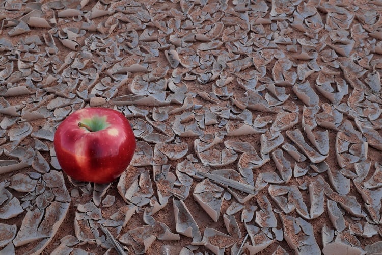 Food insecurity: How COVID-19 is exacerbating a crisis already on a ‘knife-edge’