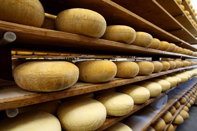 Researchers accelerate Danish cheese production with ripening 'shortcut' 