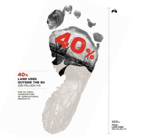 FOE-footprint.jpg