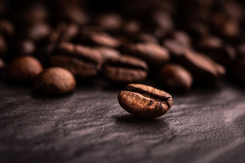 Protein-from-coffee-Applied-Food-Sciences-introduces-CoffeeProtein-to-plant-based-protein-market.jpg