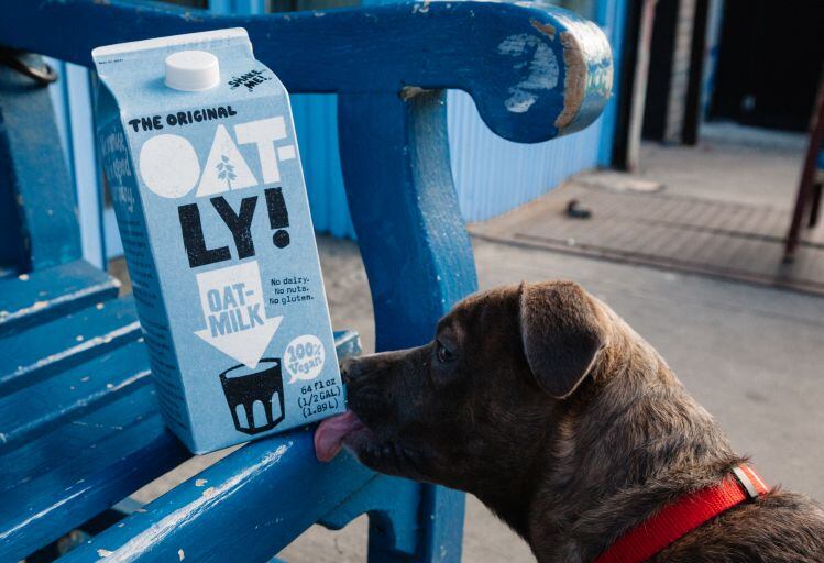 “Oatly will likely never make money in a notoriously fickle and deflationary food industry,’ claims activist short seller; Oatly ‘rejects all these false claims’