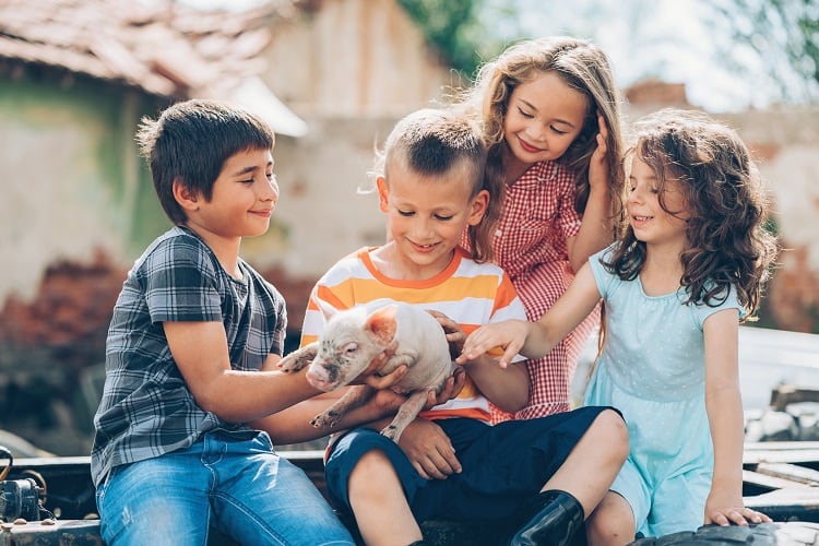 Eating meat is less morally acceptable for kids than adults, finds study