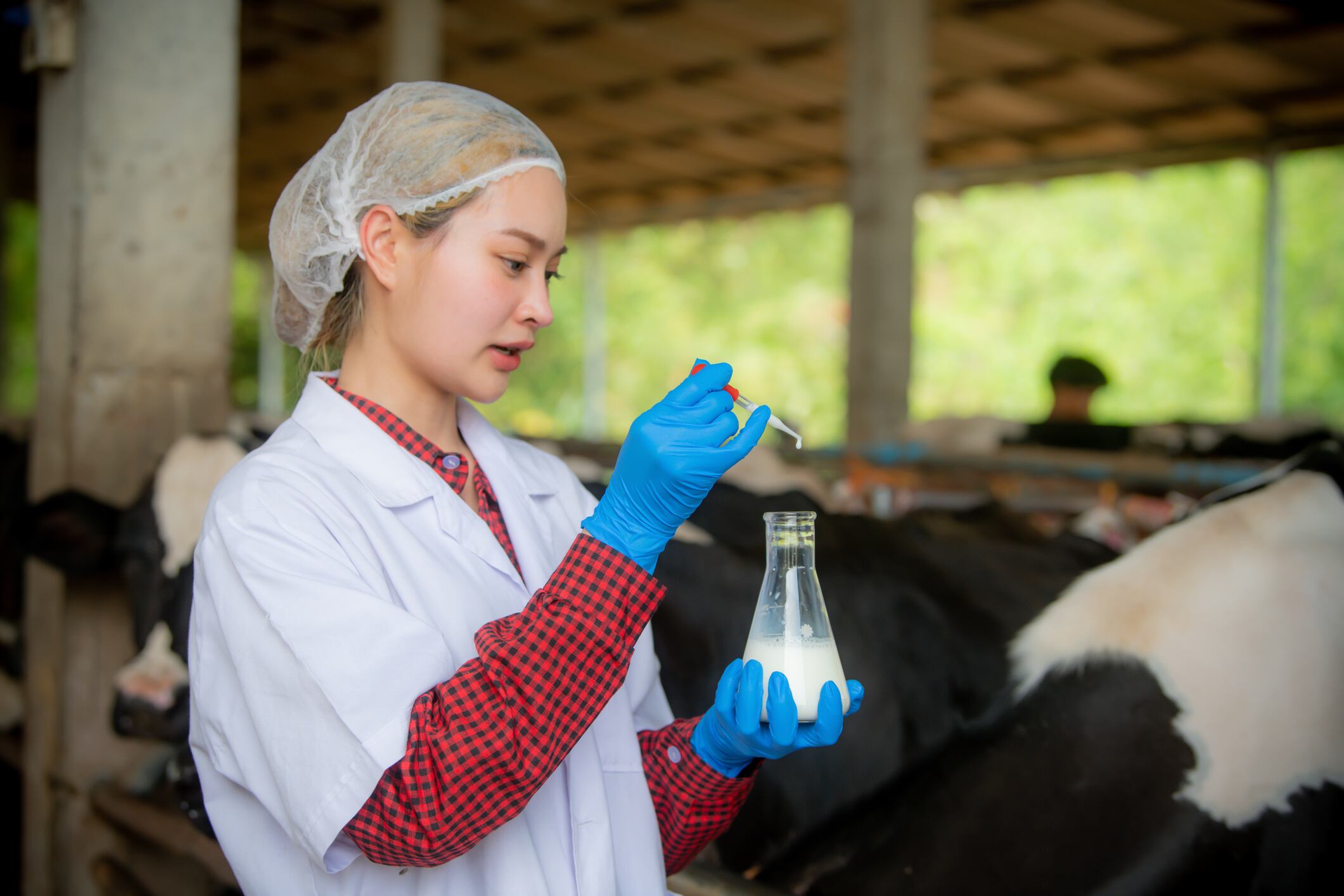 Bird flu fight: ‘A step along the line to panic taken’ 