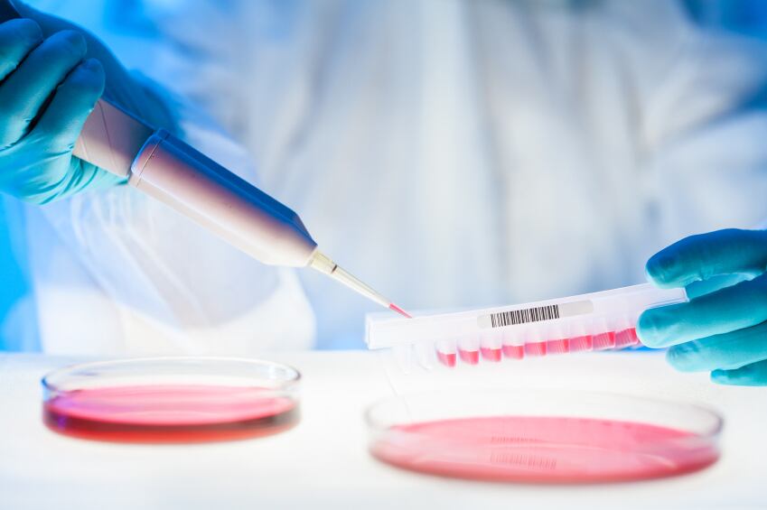 cell-lines-kasto80.jpg
