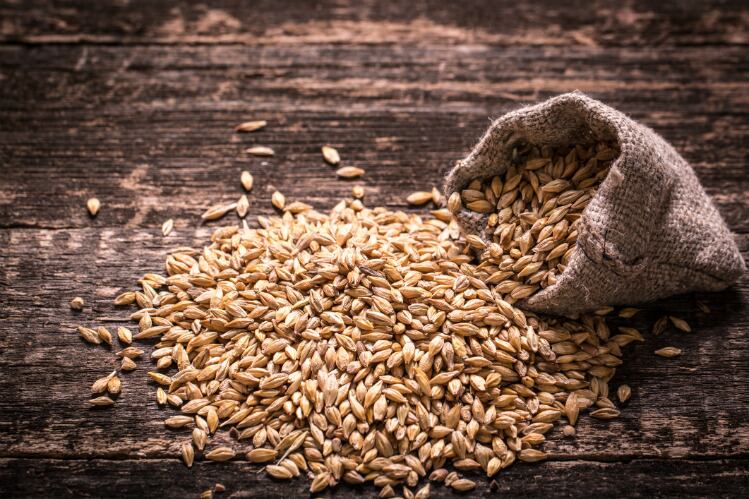French grain co-op Axereal acquires Cargill’s malt business