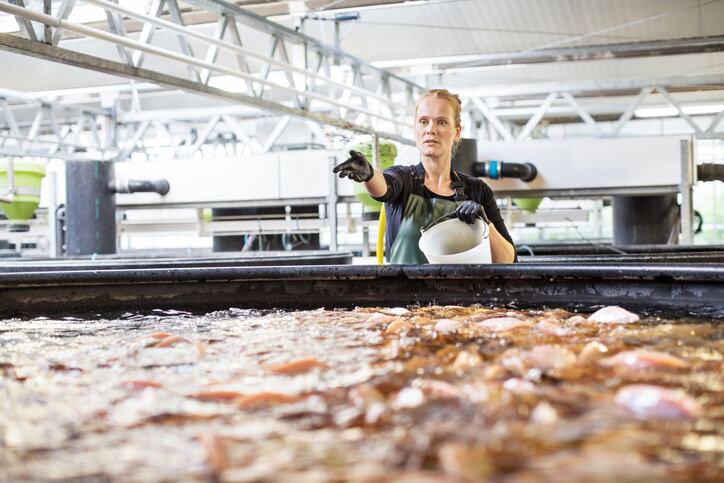 ASC plans historic certification overhaul to boost fish farming’s image