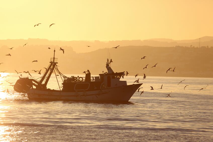 Fishing-boat-C-iStock-typhoonski.jpg