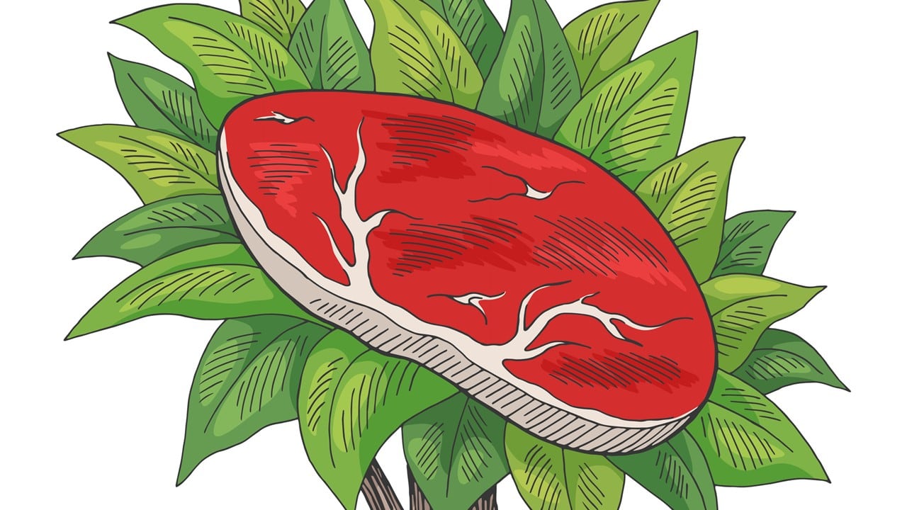 2020-was-a-breakout-year-for-plant-based-foods-GFI-PBFA-SPINS-unveil-2020-retail-sales-data.jpg