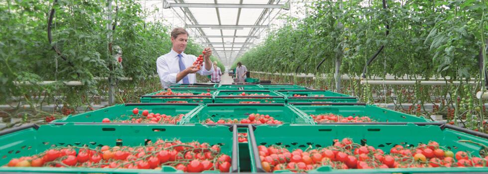 UK-food-and-drink-companies-keeping-up-with-consumer-trend-towards-healthier-choices.png