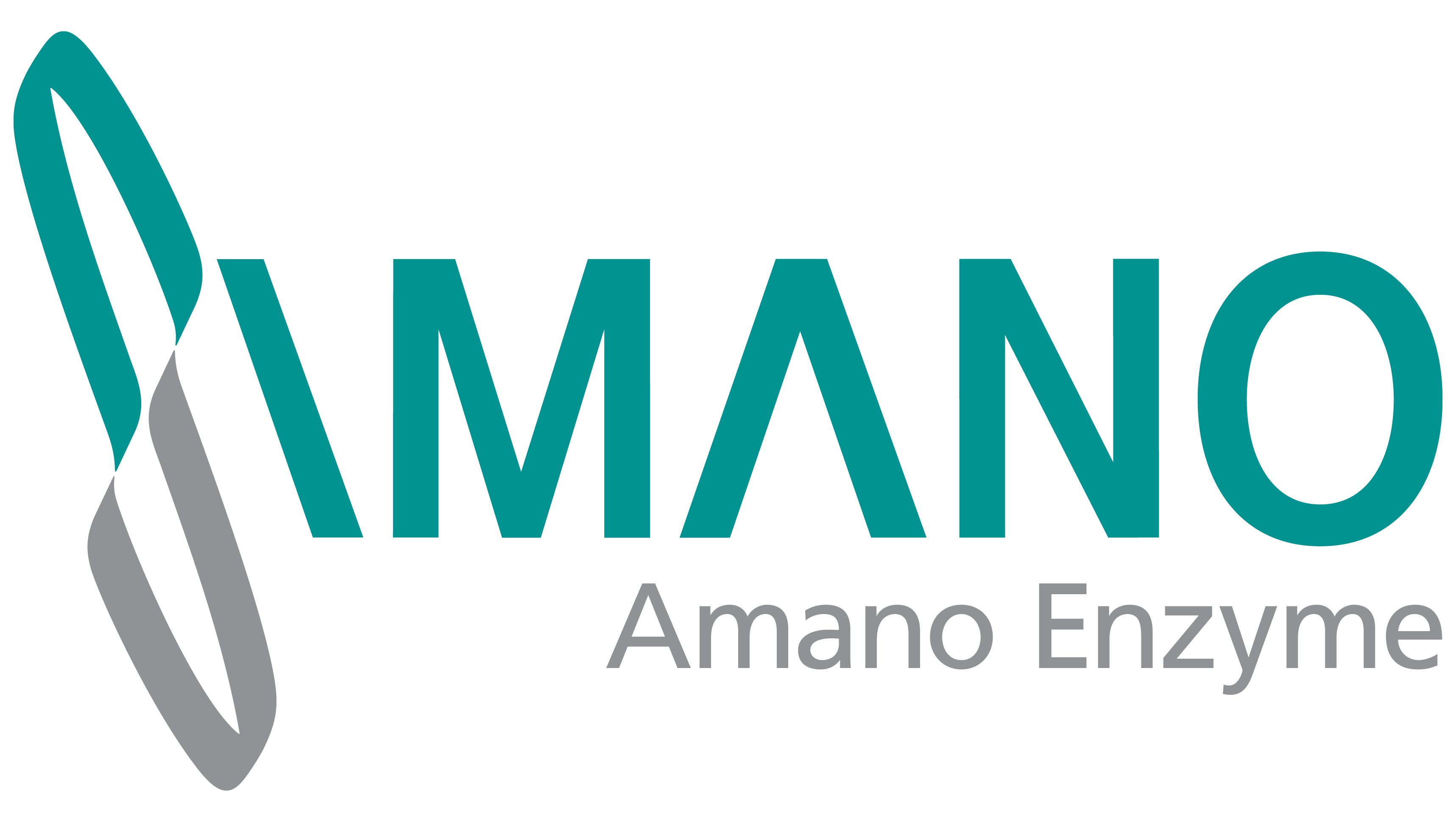 Amano Enzyme Inc - USA
