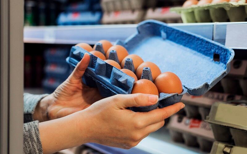 Drop in egg price drives down dollars sales in dairy for August 2023, Circana finds