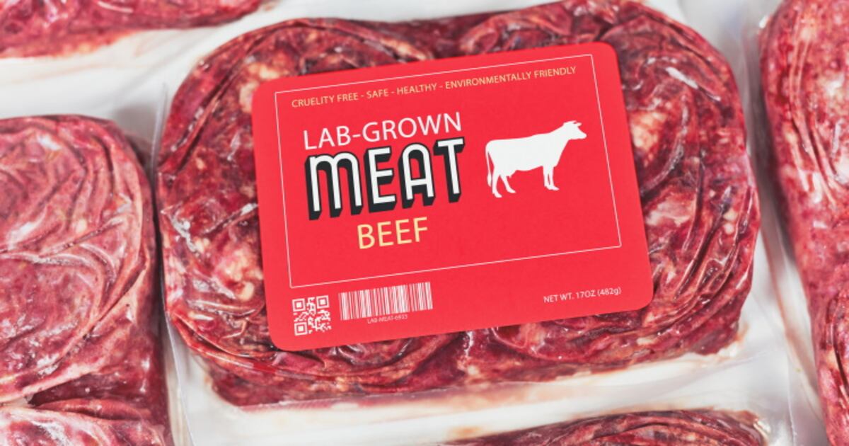CellulaREvolution aims to ‘revolutionise’ cultured meat with tech ‘to ...