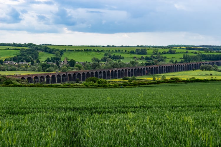 Nestlé-backed initiative supports regional regenerative farming investments