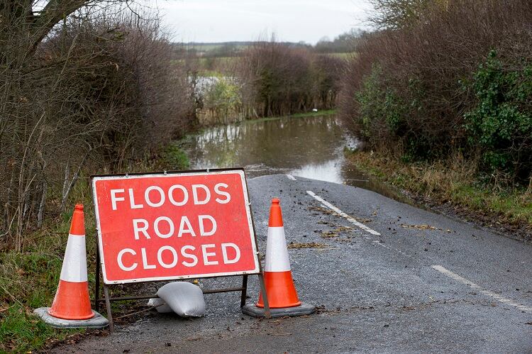 UK's eighth wettest winter on record: How will this affect food production?