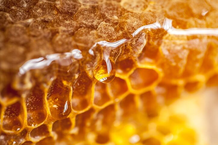 Honey producers stung by ‘worst harvest in decades’ call for crackdown on adulterated imports