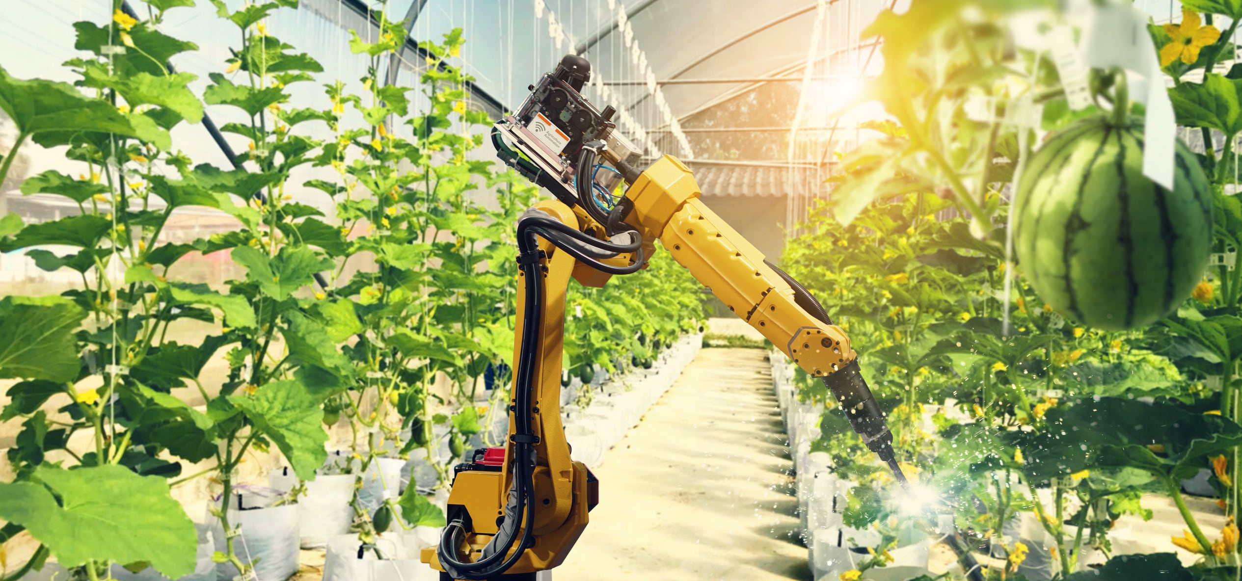 4 ways food tech can lead to more resilient and sustainable food systems