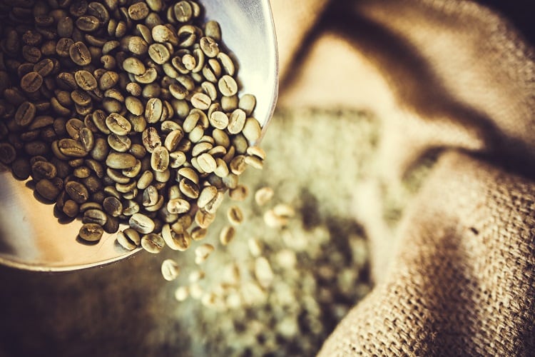 Boosting coffee transparency with ‘100% direct trade’: Online platform works to improve farmer profits and roaster value