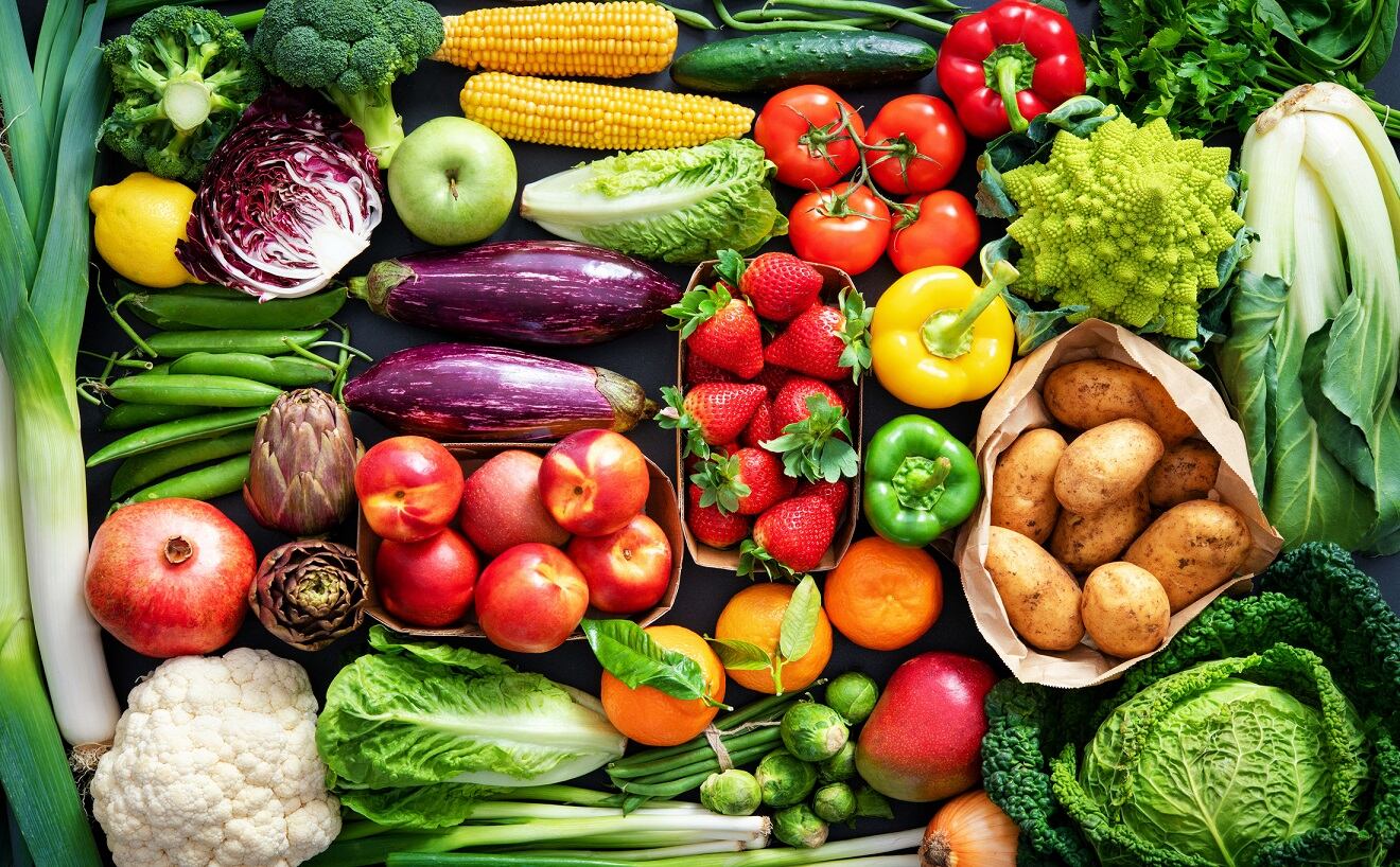 Novella brings novelty with sustainable nutrient cultivation 