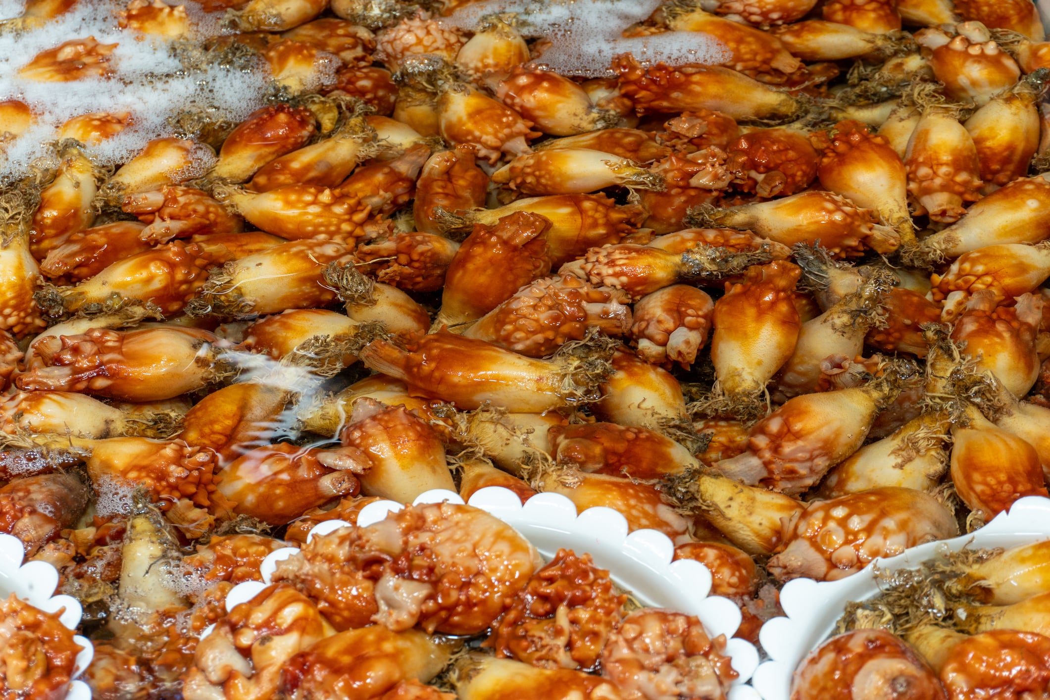 Fresh sea squirt at a Korean seafood market