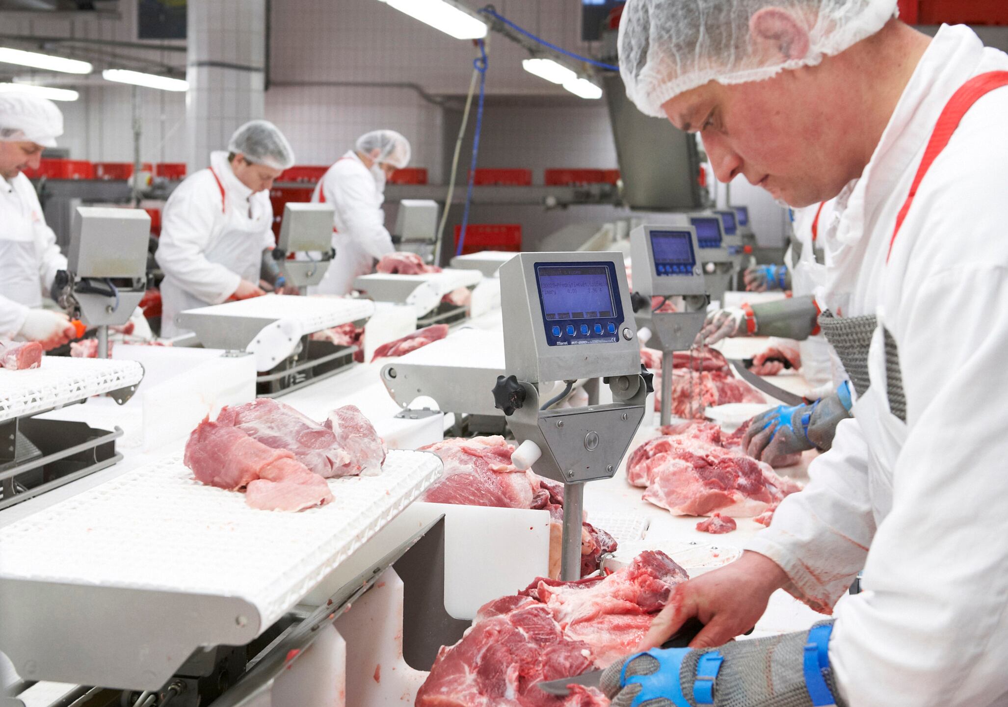 Marel-cutting-line.jpg