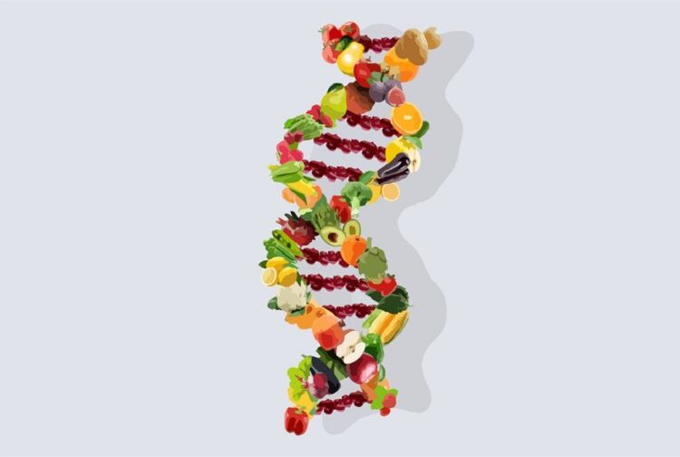 Italian-biotech-taps-DNA-barcoding-to-increase-food-safety-and-prevent-fraud.jpg