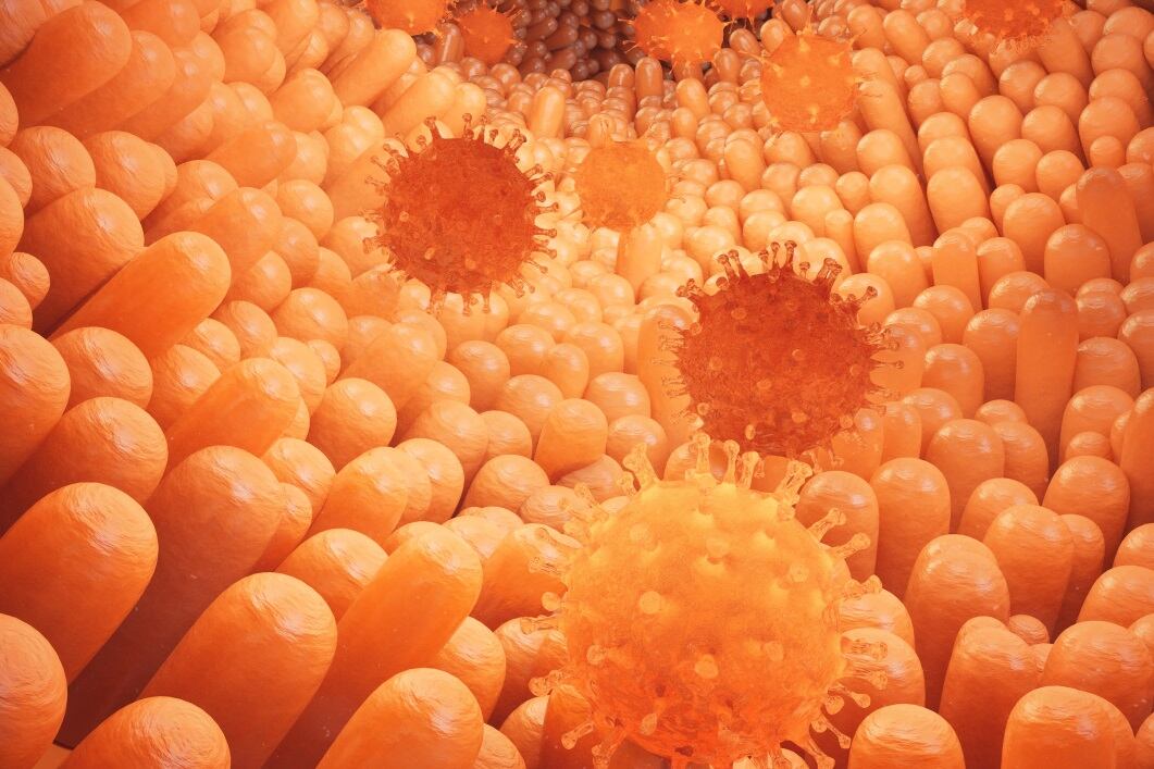 ‘As easy as pressing a button’: NEMIS unveils new tech to detect Salmonella and Listeria