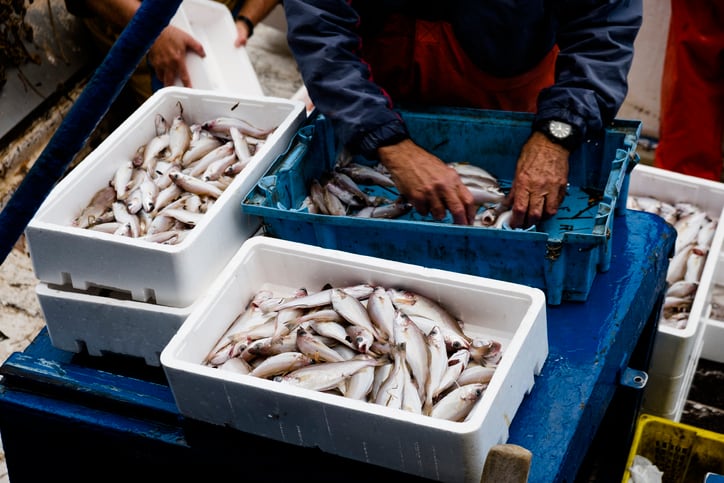 Heavy metal contamination: ‘Serious and remarkable’ concentration of arsenic, lead and cadmium in Turkish fish