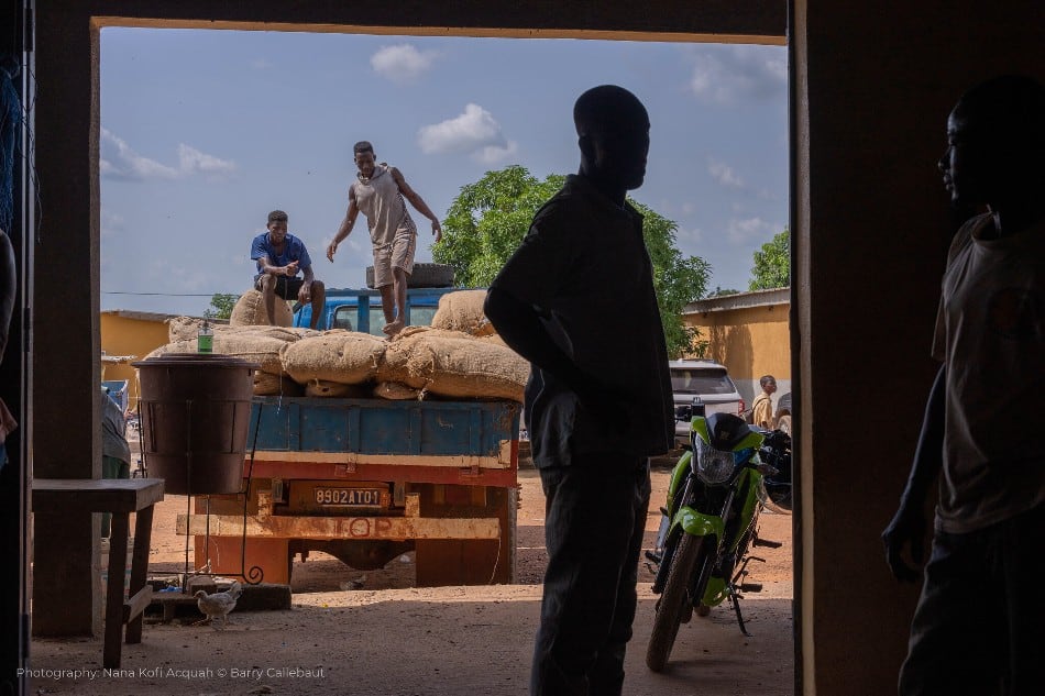 Tonnes of cocoa in EU warehouses face being destroyed because of red tape regarding new deforestation law