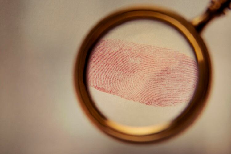 Identifying ‘food fingerprints’ to combat crime: ‘Fraud is a growing concern’
