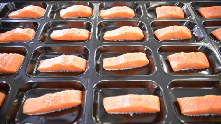 UMAMI Bioworks advisor Jennifer Bushman emphasizes need for storytelling to strengthen cultivated seafood industry