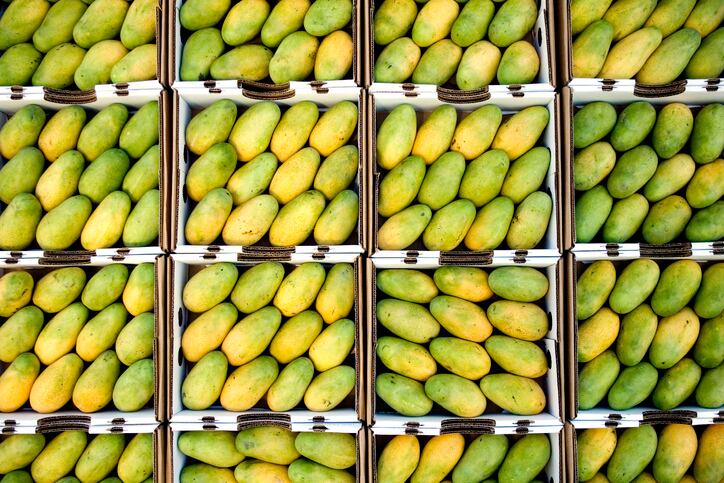 Mexifruta-investment-in-new-Costa-Rican-factory.jpg