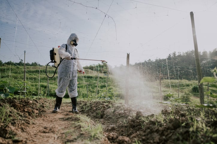 Campaigners angry as EFSA identifies ‘no critical areas of concern’ over controversial herbicide glyphosate